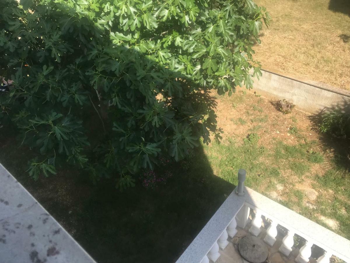 Apartman Petra 2 Vir Εξωτερικό φωτογραφία